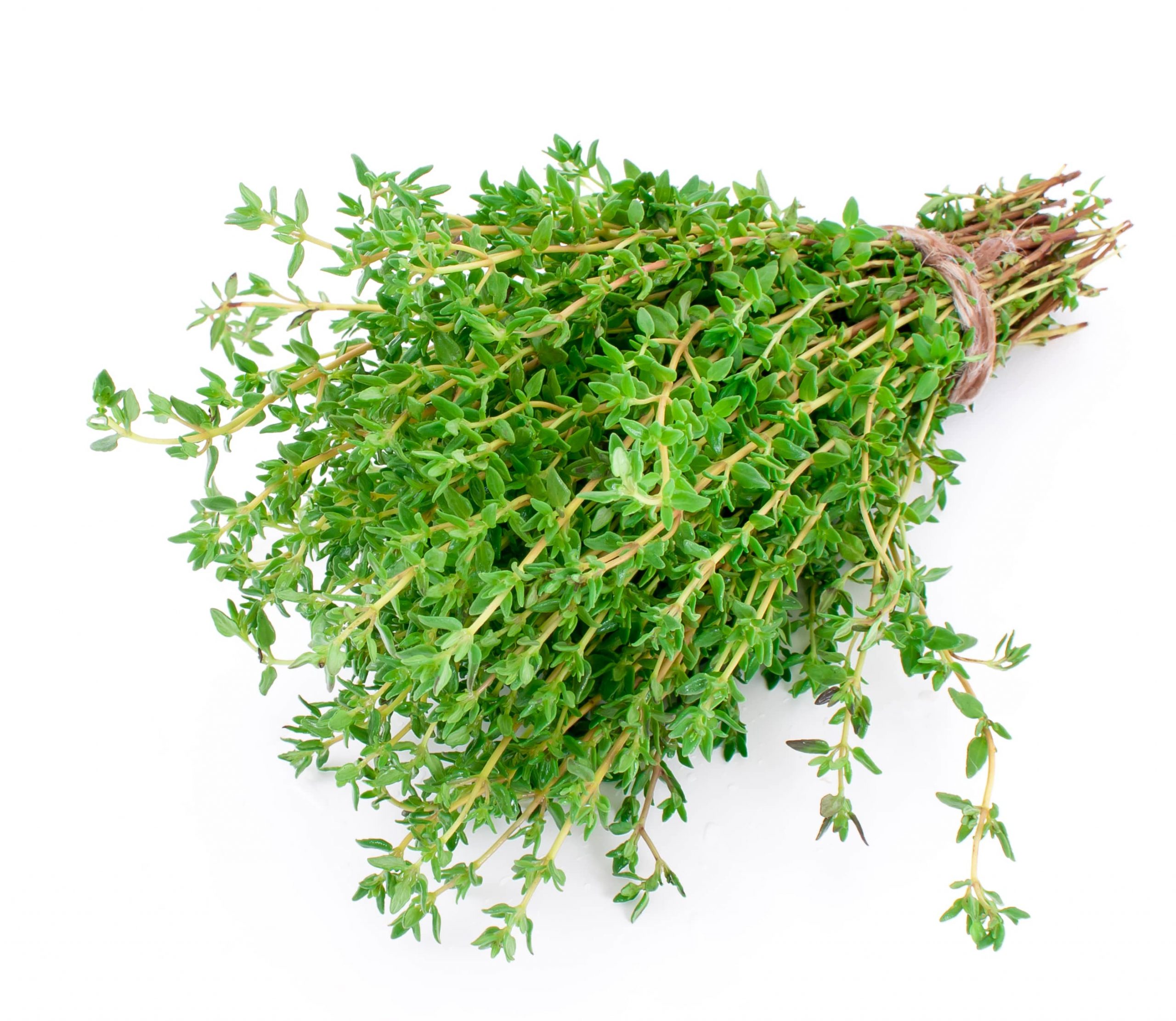 Thyme - Nutritional Information - What's In Season - Bord Bia