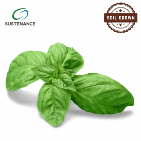 Italian Basil