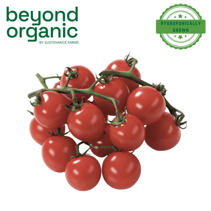 Cherry Tomatoes Red