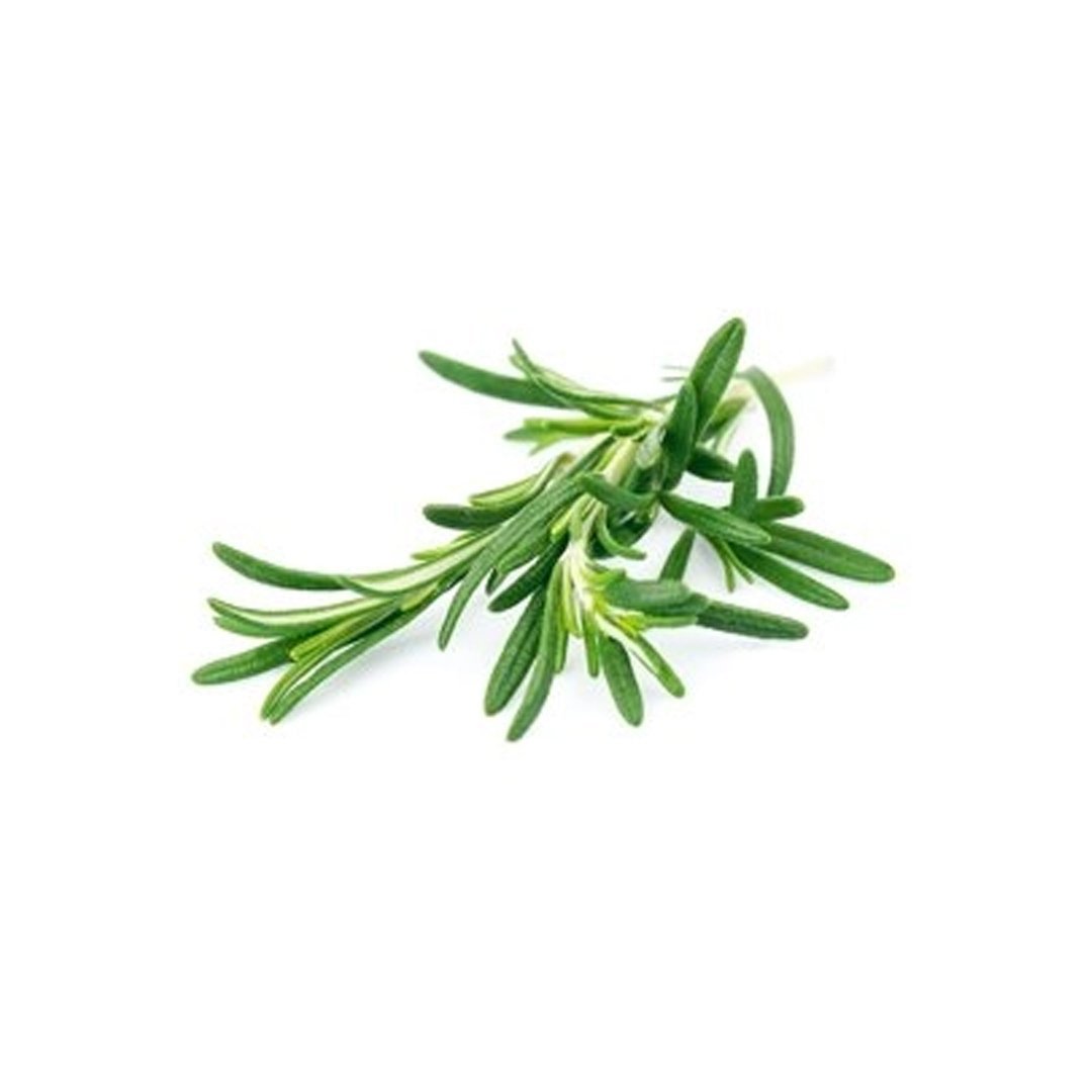 rosemary-sustenance