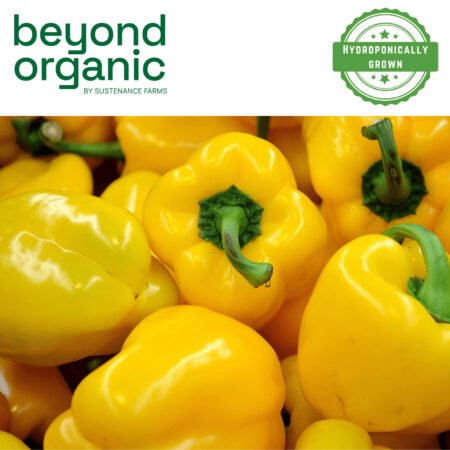 Yellow Bell Peppers