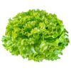 Green Coral - Image 2