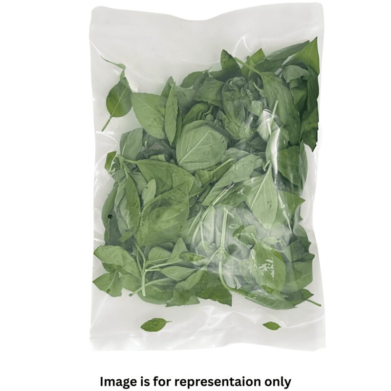 Italian Basil - Image 3