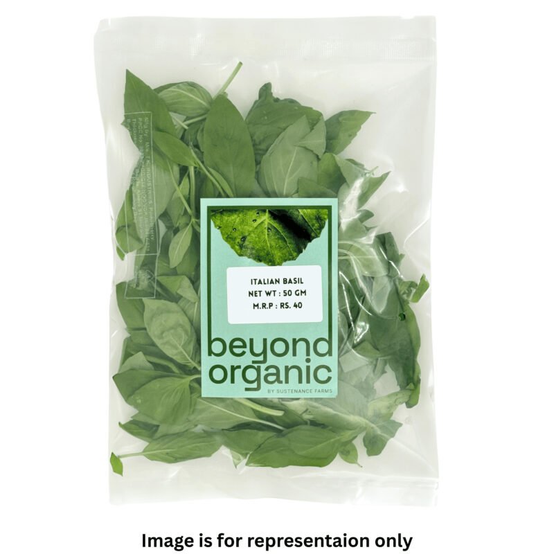 Italian Basil - Image 2