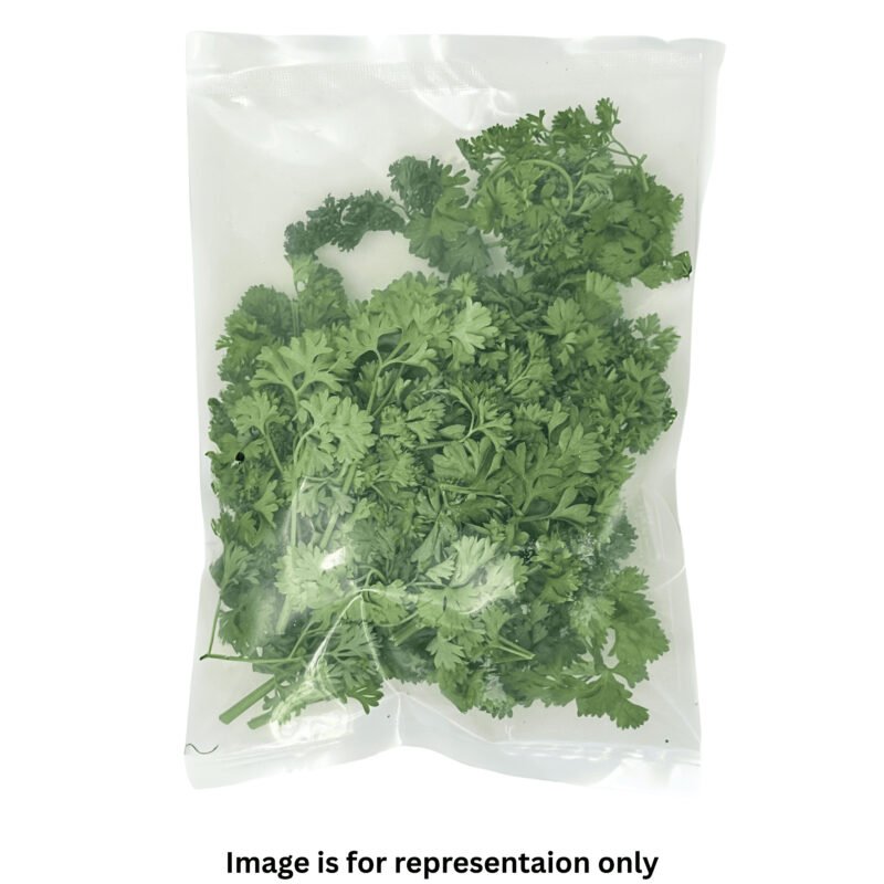Curled Leaf Parsley - Image 3