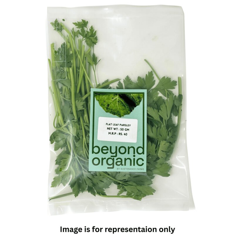 Flat Leaf Parsley - Image 2