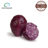 Red Cabbage