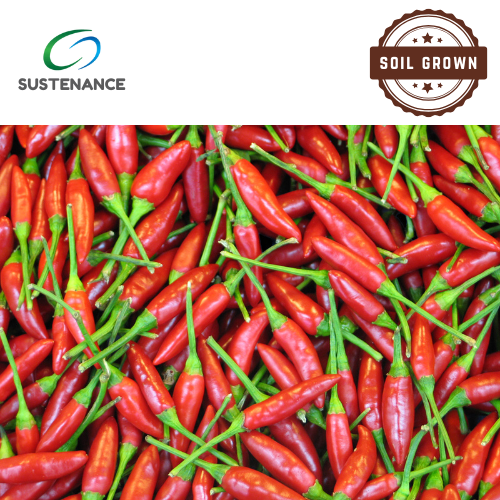 Bird's Eye Chilli