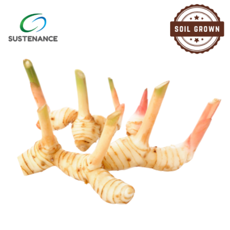 Galangal (Thai Ginger)