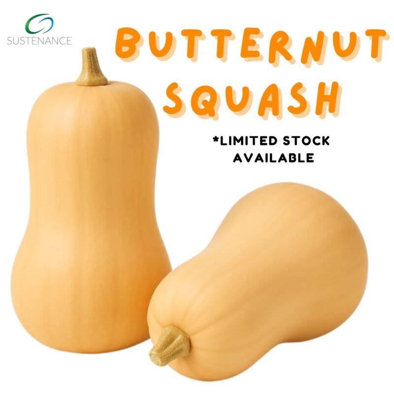 Butternut Squash