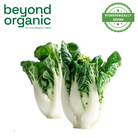 Baby White Bok Choy