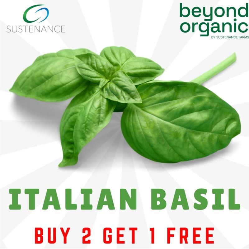Italian Basil (B2G1)