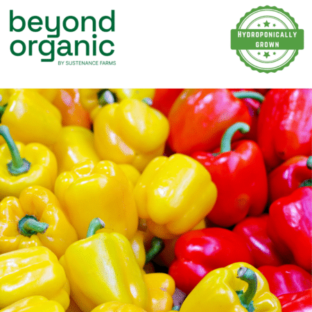 Red and Yellow Capsicum