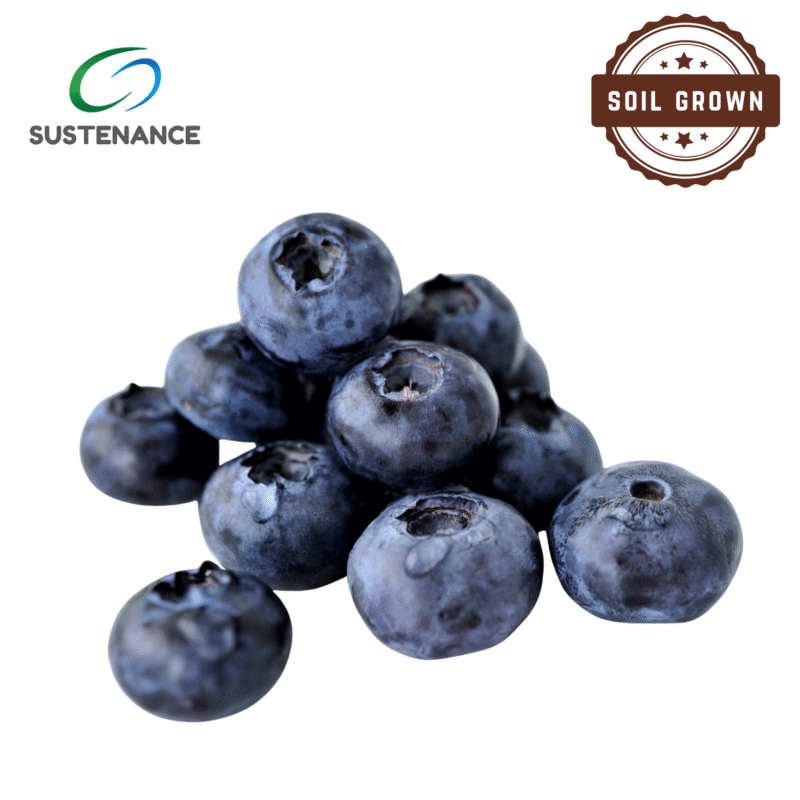 Blueberry
