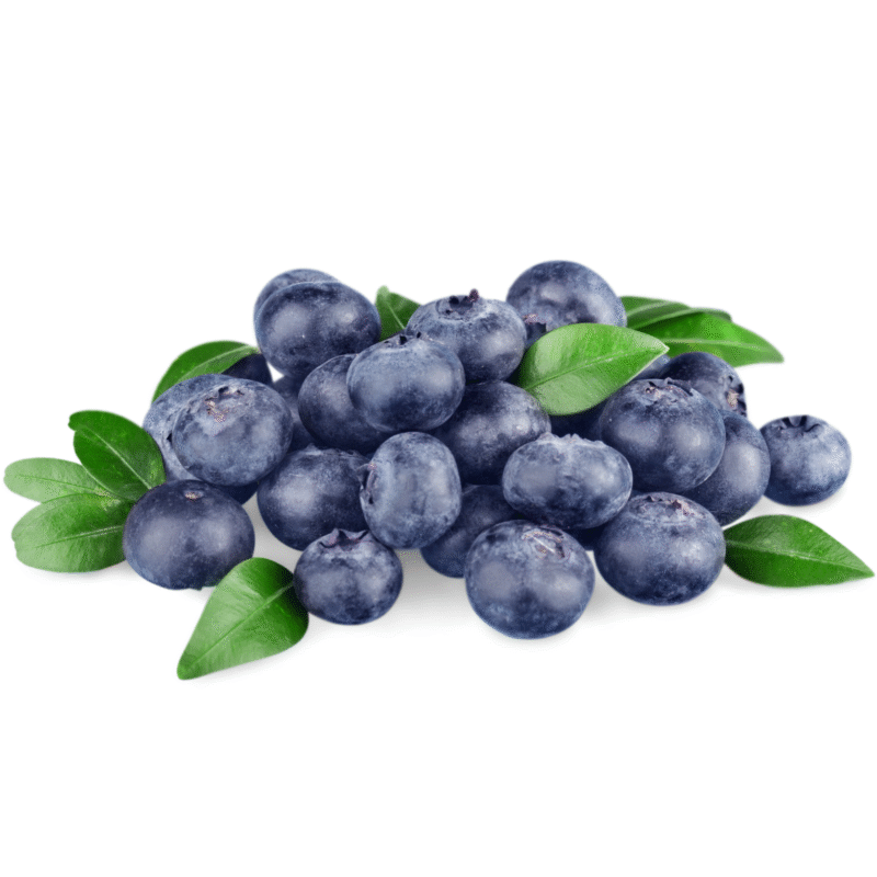 Blueberry - Image 2