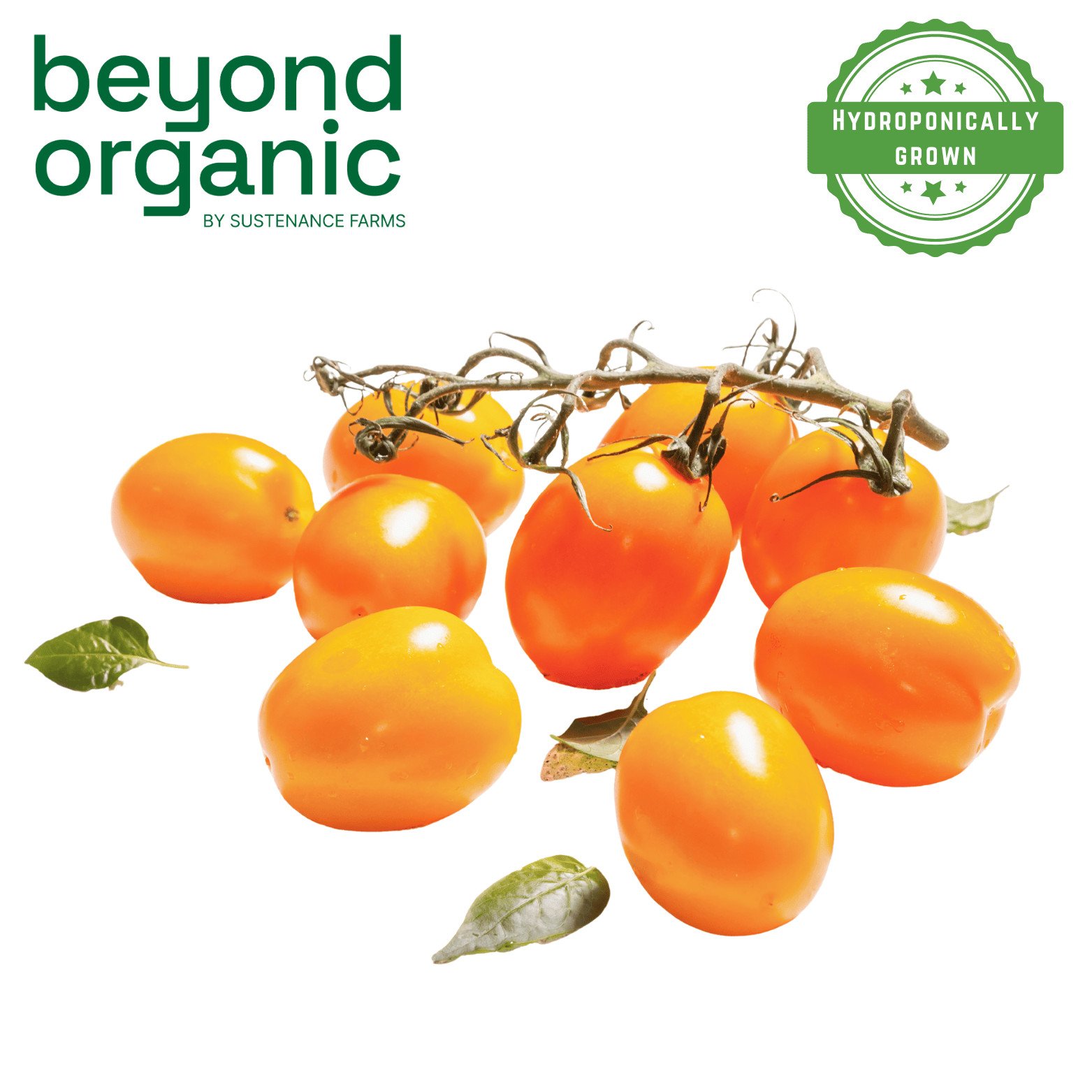 Cherry Tomatoes Orange